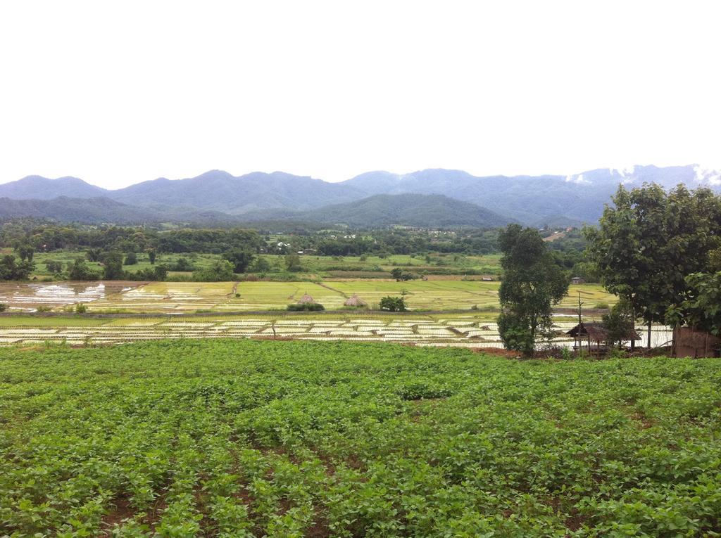 Chang Pai Garden Exterior foto